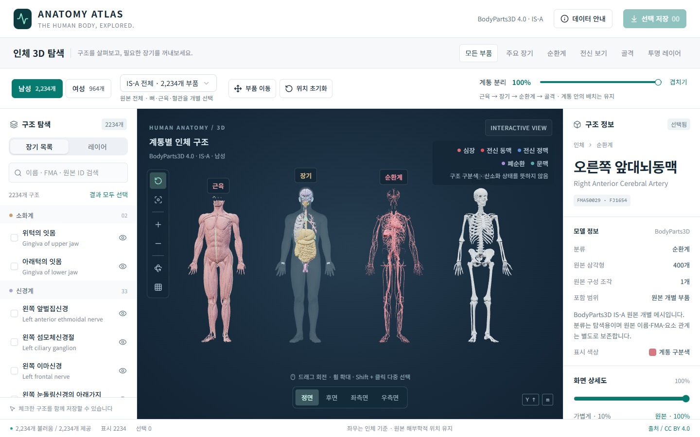 Anatomy Atlas 실제 캡처: 근육, 장기, 순환계, 골격의 계통 분해도
